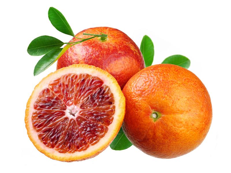 نهال پرتقال خونی دیررس (سانگویینلو)